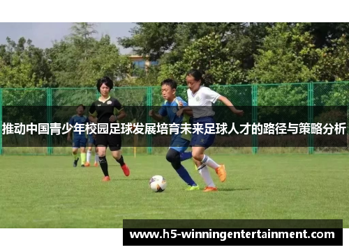 推动中国青少年校园足球发展培育未来足球人才的路径与策略分析